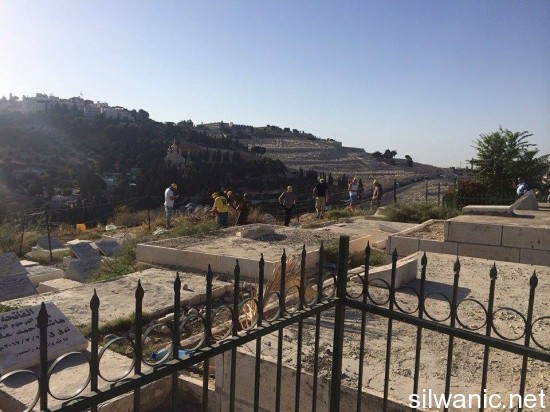 11903531_10152967404652466_338225841_n