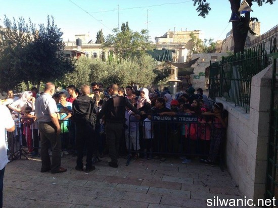 11903600_10152975227147466_1653803558_n