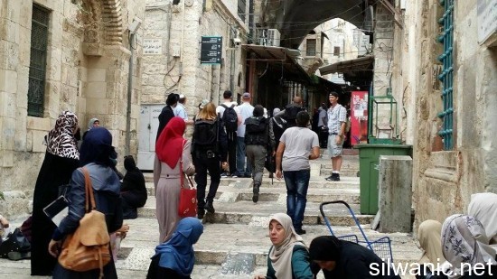 11908010_10152984662342466_40950075_n