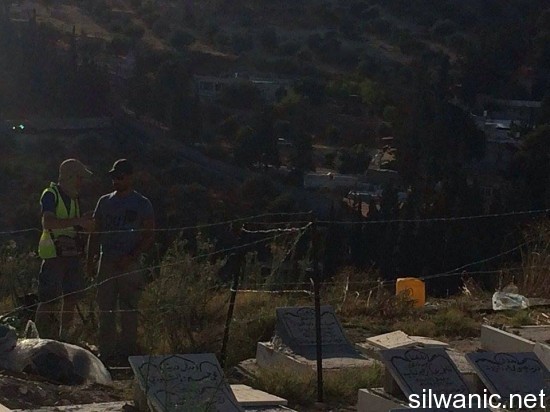 11908298_10152967404607466_2132438475_n