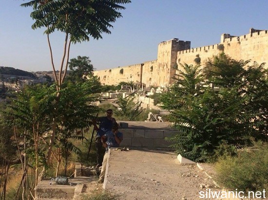 11909629_10152967404887466_351561526_n