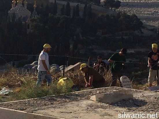 11909631_10152967404492466_2072708089_n