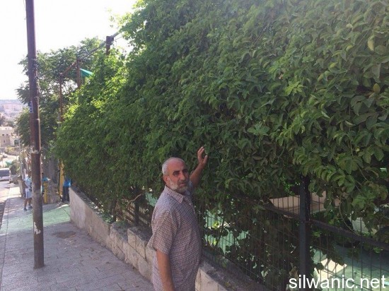 11909698_10152975468392466_1055402787_n