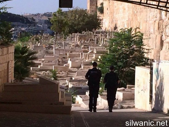 11909710_10152967404457466_8695558_n