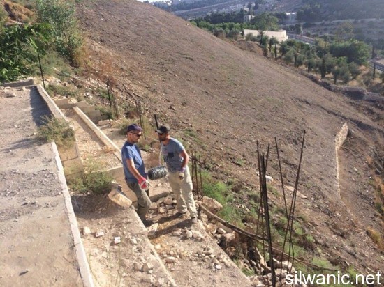 11909792_10152967405037466_369560047_n