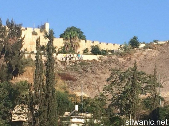 11909900_10152967405212466_1775865105_n