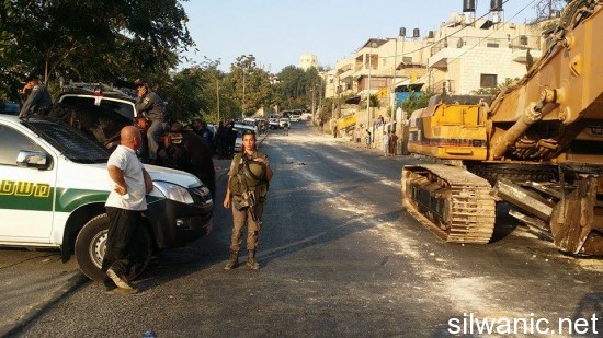 11910629_10152973304357466_1958086786_n