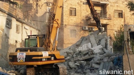 11910630_10152973304712466_1297863846_n