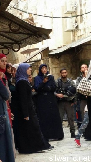 11910742_10152984662327466_1232134710_n