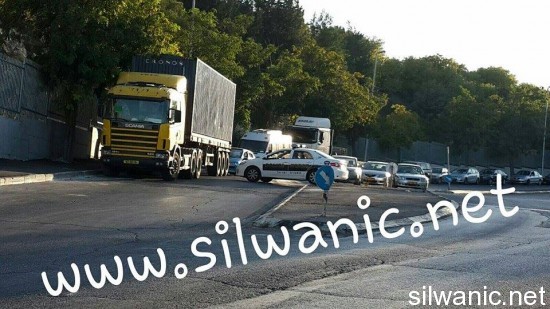 11910789_10152966130002466_2123414151_n