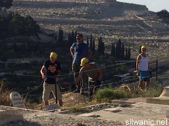 11910853_10152967404592466_1786141720_n