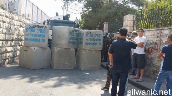 11911205_10152989546357466_260529677_n