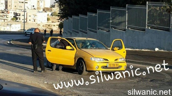 11911215_10152966119042466_1319965843_n