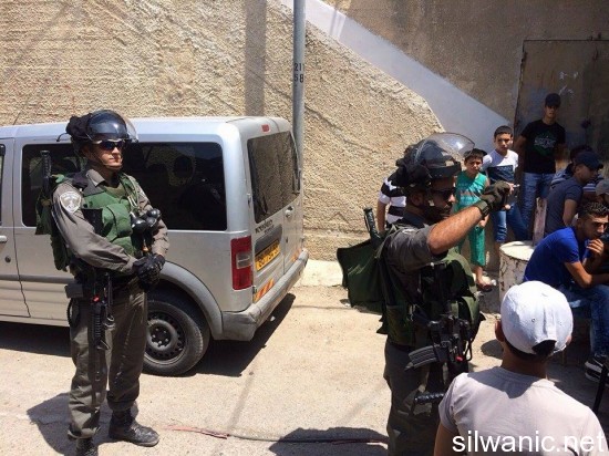 11911220_10152978131127466_207419971_n