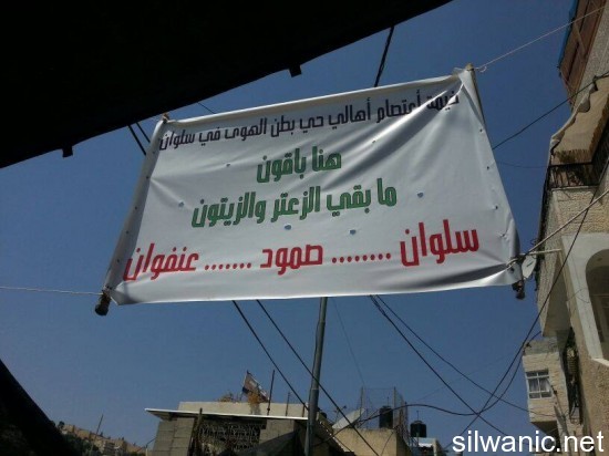 11911547_10152978130762466_1672962563_n