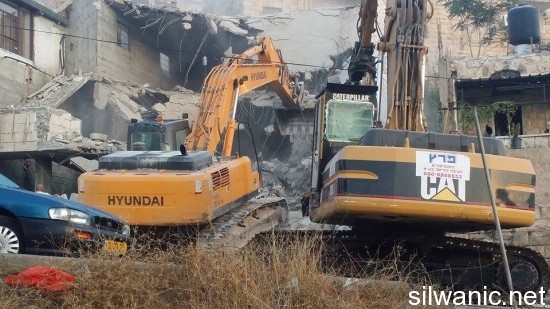 11913216_10152973305607466_371685914_n