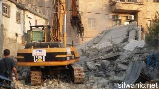 11913217_10152973304537466_720334766_n