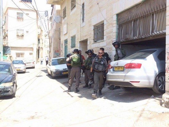 11913223_10152978131187466_1427365103_n