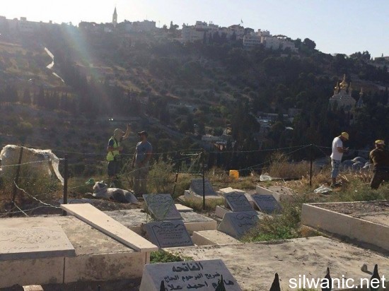 11913303_10152967404812466_1042447777_n