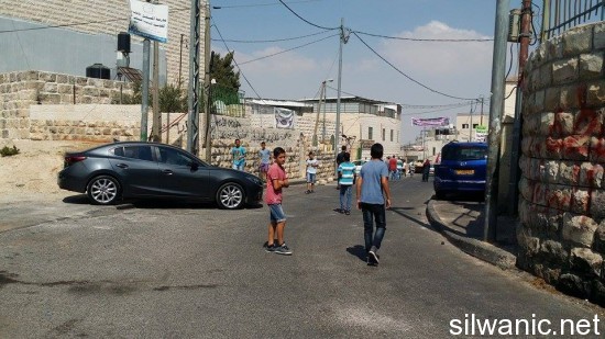 11920405_10152989549787466_16433845_n