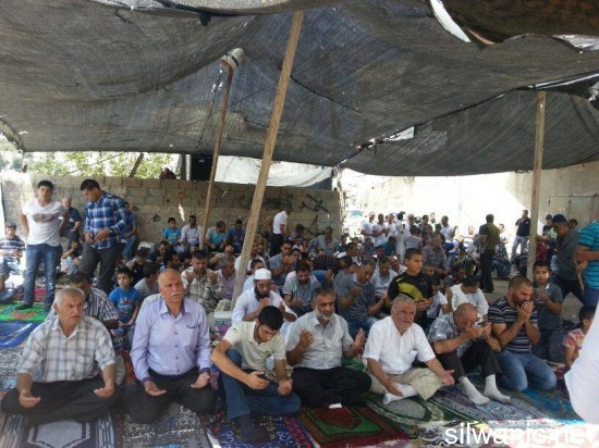 11920512_10152978130712466_533094239_n