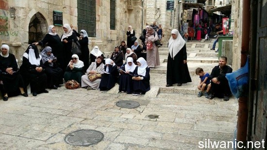 11933090_10152984649952466_1099764823_n