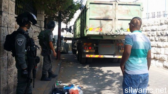 11933107_10152989546157466_188242543_n