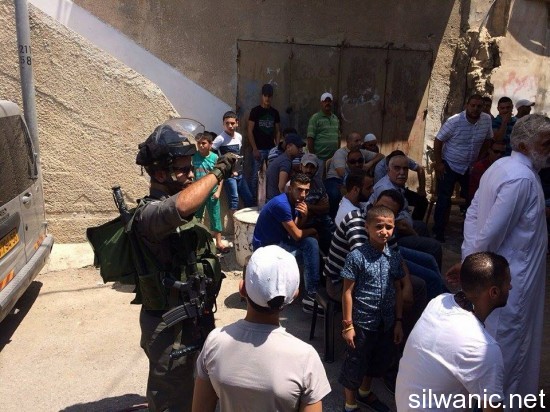 11939075_10152978131157466_138012865_n