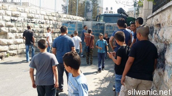 11940254_10152989546572466_1966219082_n