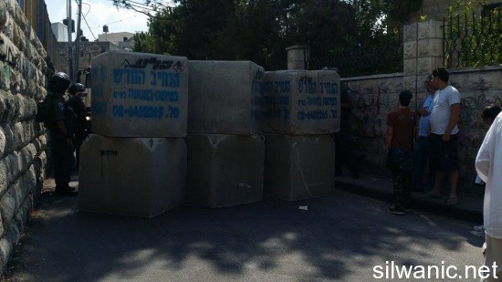 11943373_10152989546682466_572301988_n