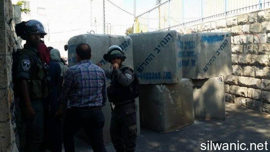 11944515_10152989546302466_1079626123_n