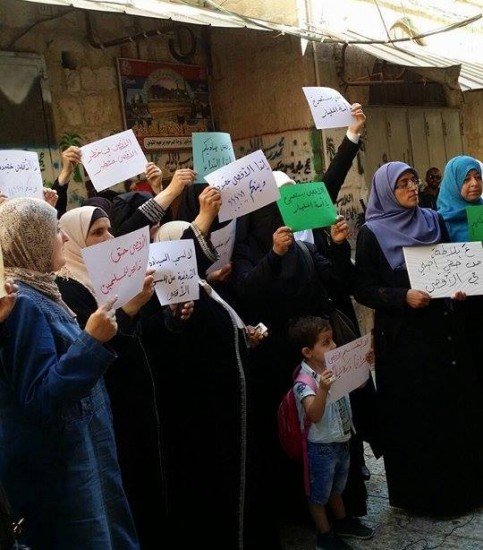 11944589_10152995451382466_272563461_n