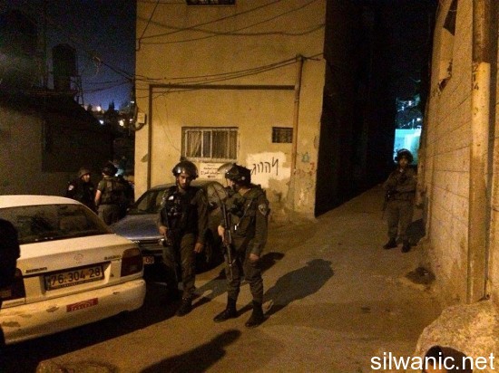 11948187_10152988391897466_253523858_n