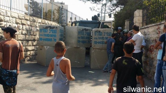 11950945_10152989546522466_1725878652_n