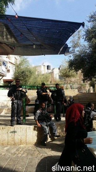 11950956_10152982415912466_1171445654_n