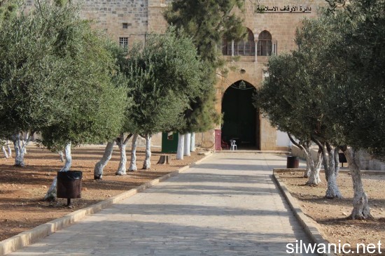 الاغلاق للاقصى