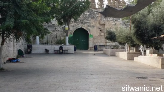 باب الاسباط