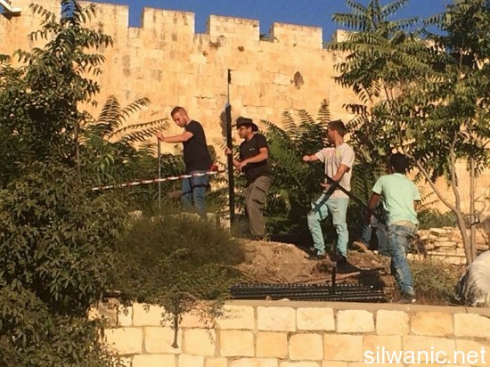 11720622_10153000219992466_1346649272_n