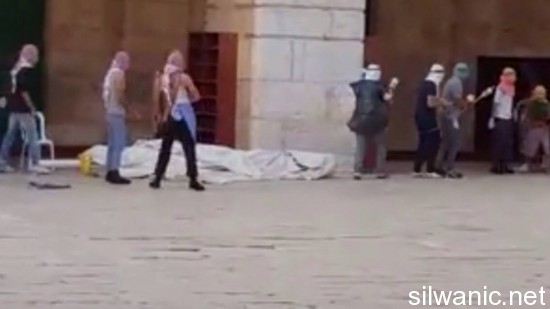 11840204_10153020741747466_1499531258_o