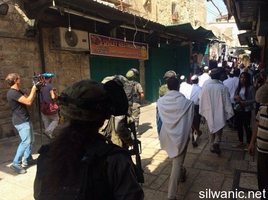 11850906_10153024321272466_1924450160_n