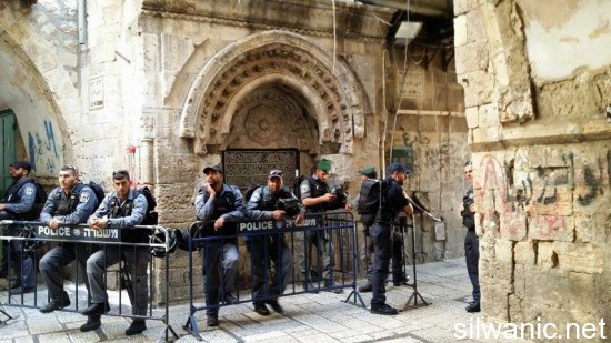 11909906_10152998756742466_822078481_n