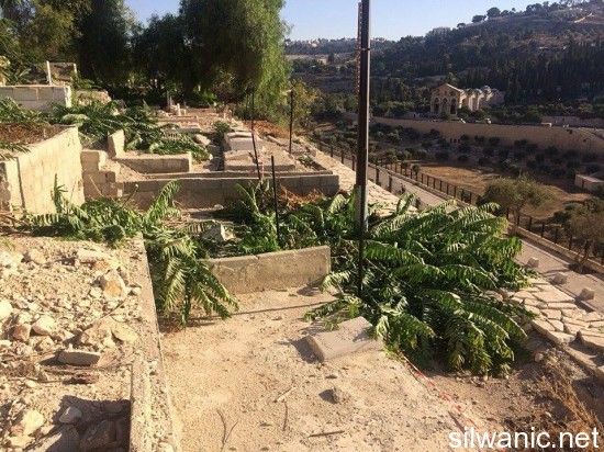 11911702_10153000219437466_155413339_n