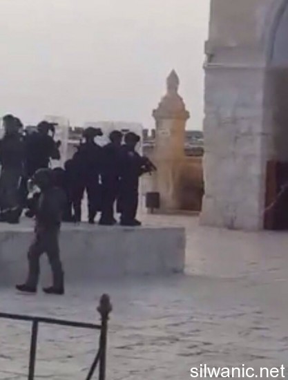 11922084_10153020764982466_1967285498_n