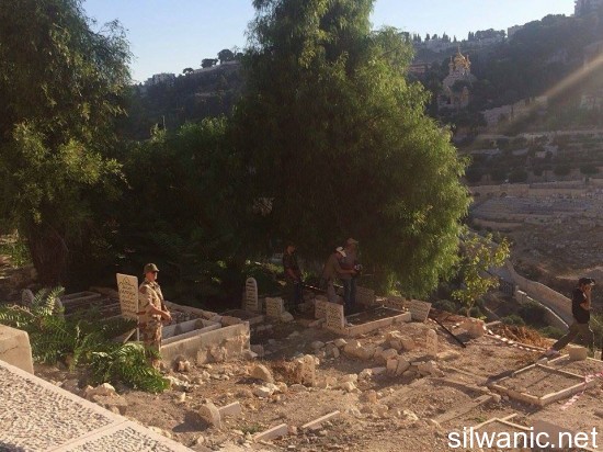 11922803_10153000219707466_1543424742_n