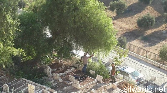 11924786_10153000302437466_1524765723_n