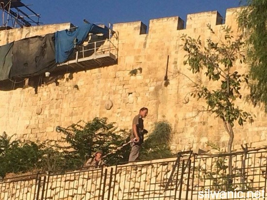 11928693_10153000220052466_861927619_n