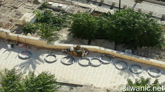 11930656_10153000304887466_1774677122_n