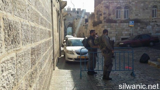 11931685_10152998756722466_575114602_n