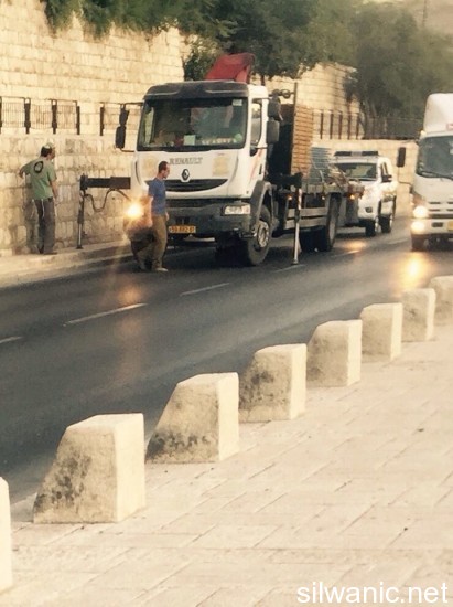 11936439_10153000220117466_950160314_n