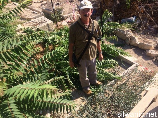 11938018_10153000304762466_2043507519_n